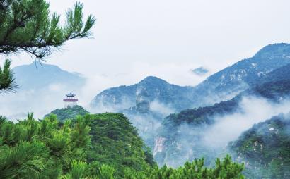 成功救治重症破伤风患者